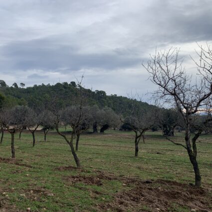 Associació Aube | Pere Josep Jimenez